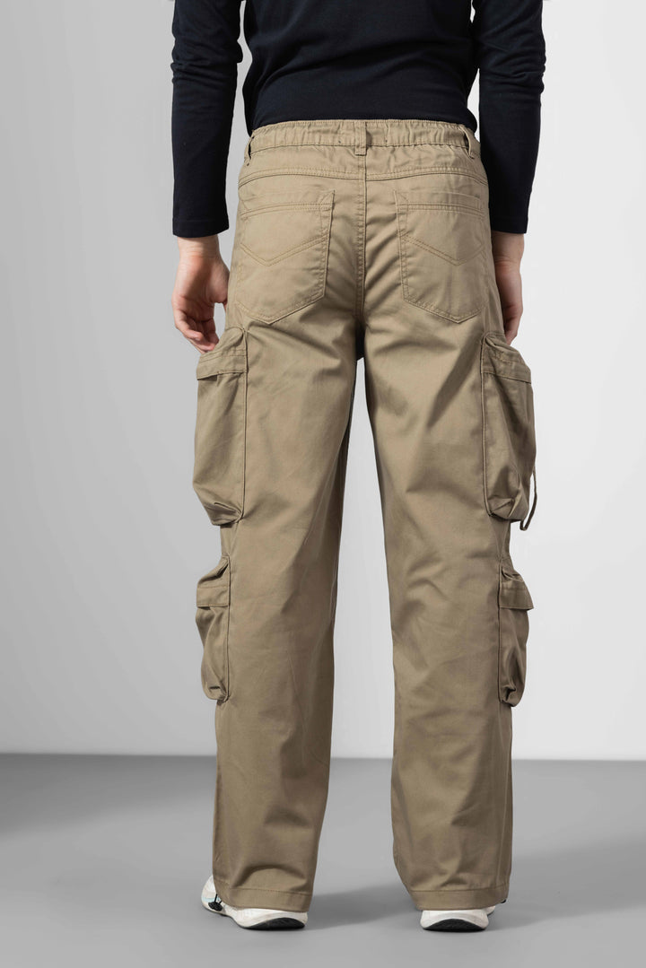 Brown Men Winter Cargo Pants