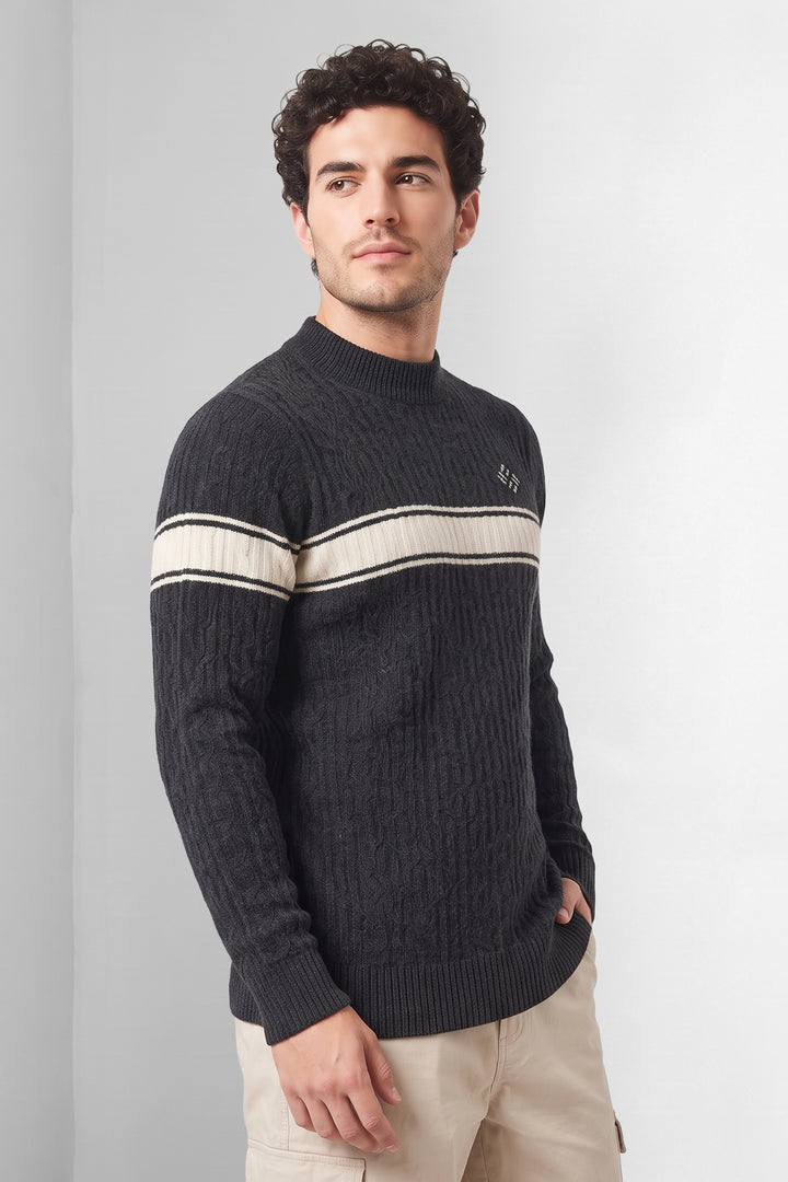 Black Textured High Neck Full Sleeve Striped Knit Sweater