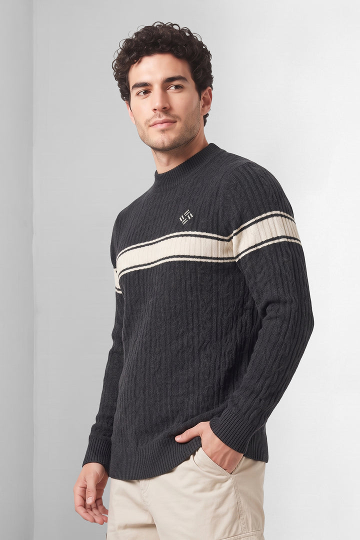 Black Textured High Neck Full Sleeve Striped Knit Sweater